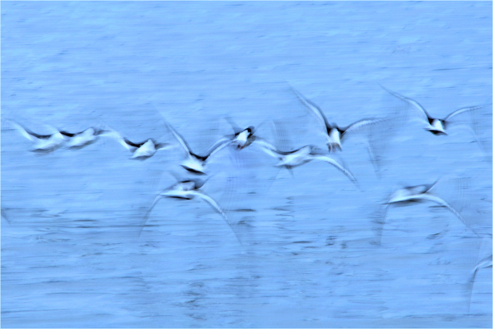 ~ Flying Away ~
