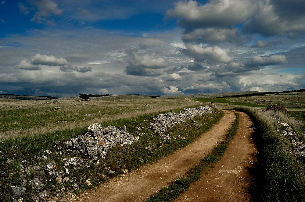 Causse Méjean