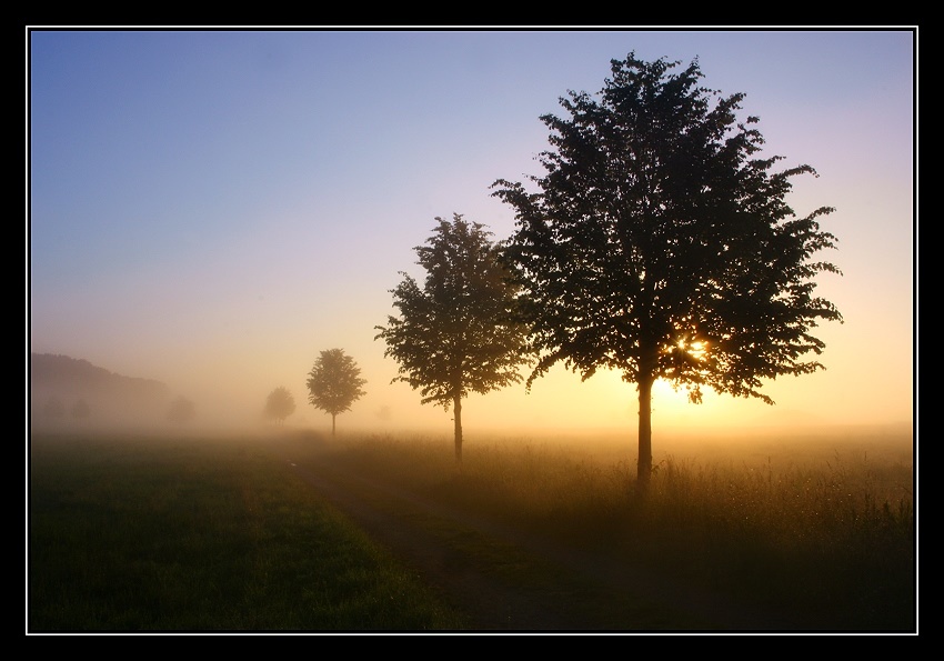 Stille