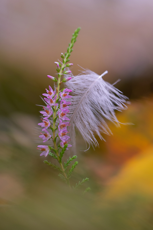 Herbstfarben