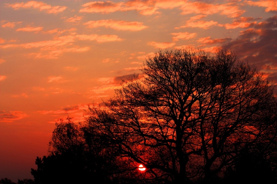 Ein wunderschöner Sonnenaufgang...