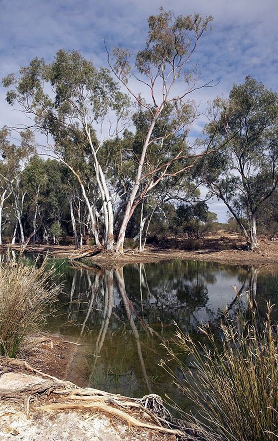 Duba Spring