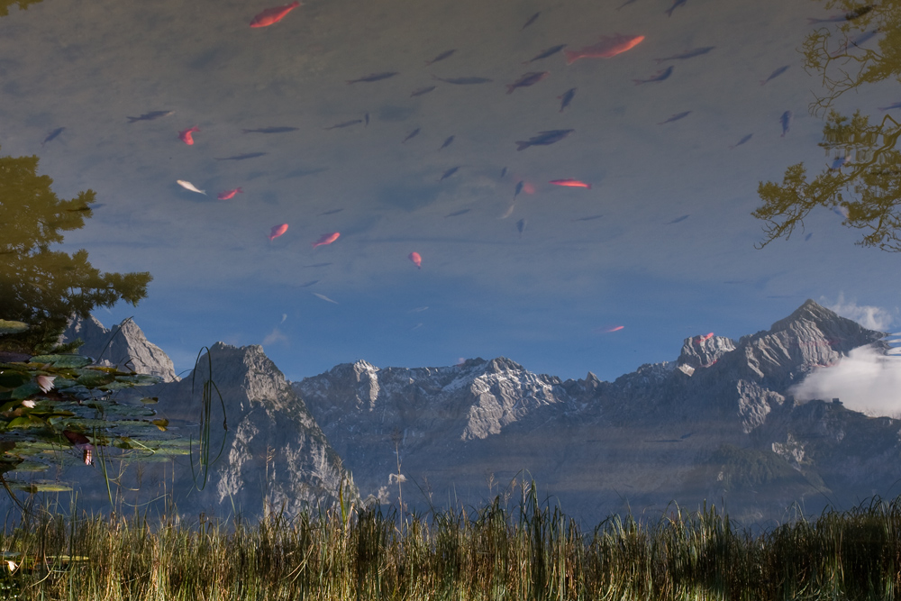 Der Himmel ist voller Fische