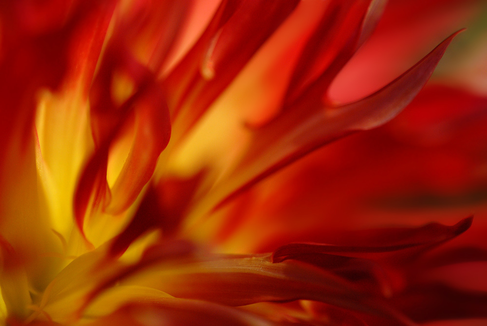 Flames