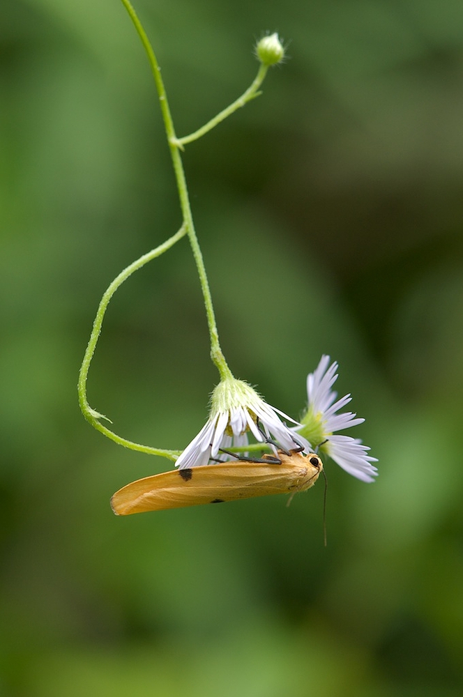 hanging around..