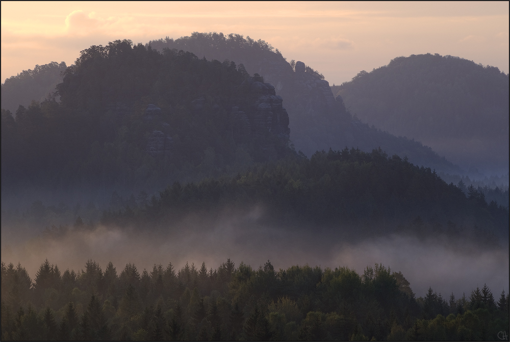 Morgennebel im Zschand