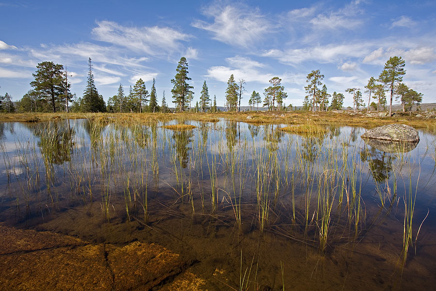 Stille auf dem Fjell