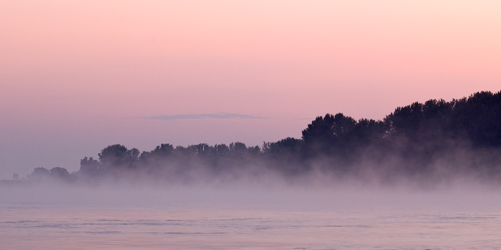 ~ Nochmal Nebelrhein ~