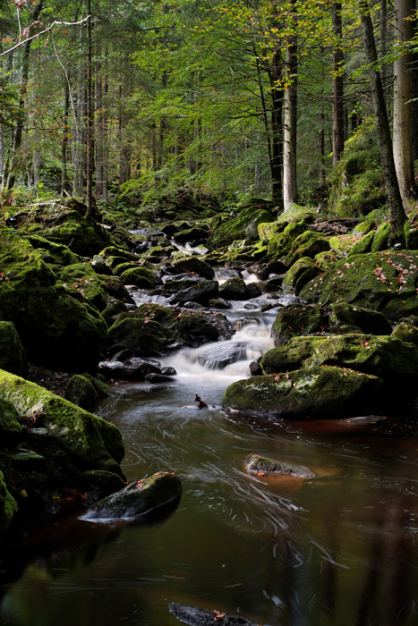 Steinklamm