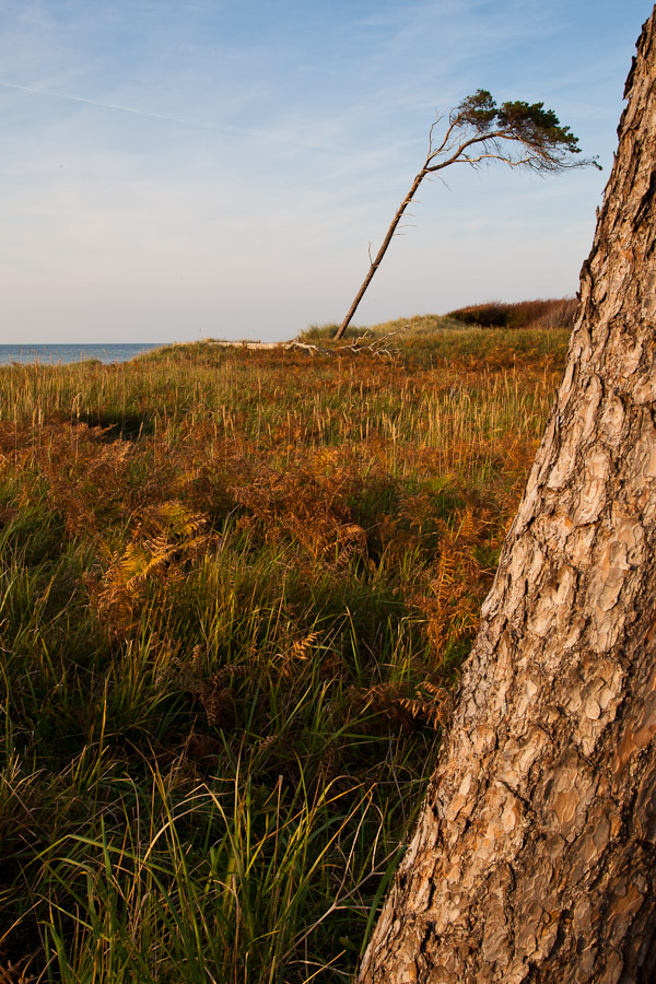 Nachmittags am Weststrand