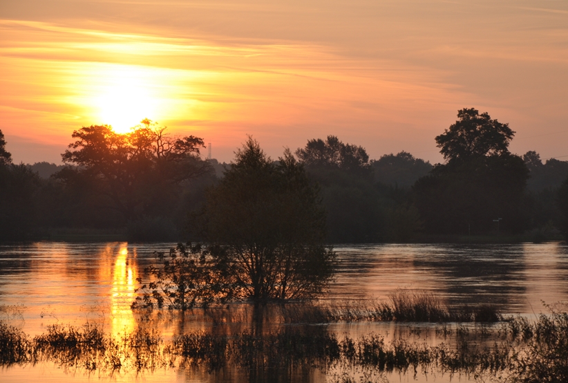 Sonnenaufgang an der Elbe