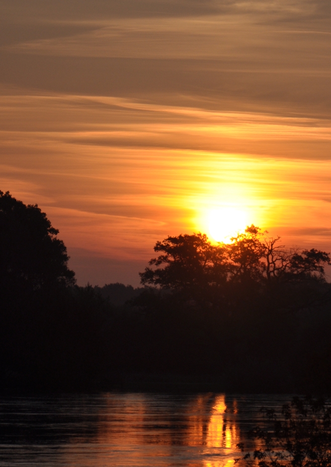 Sonne an der Elbe