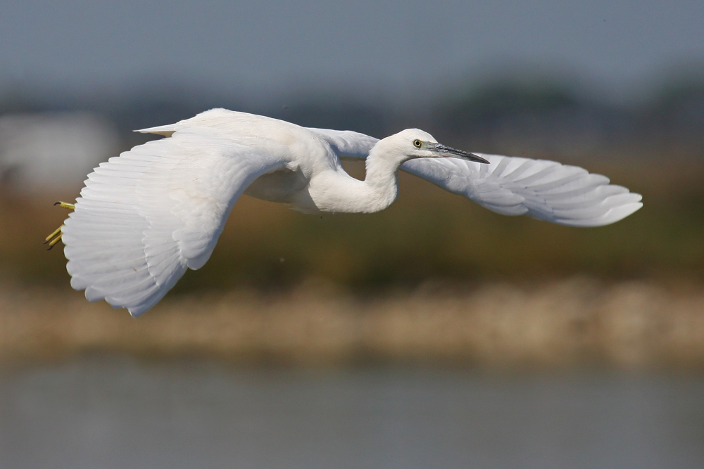 Gleitflug