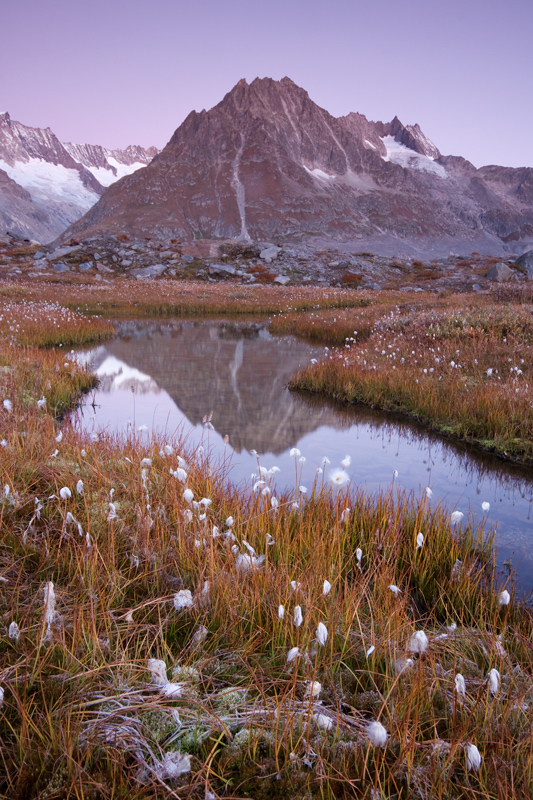 Dreieckhorn zur blauen Stunde