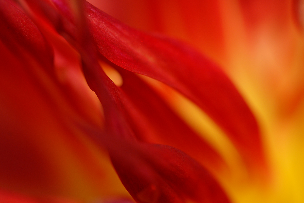 Eternal flame