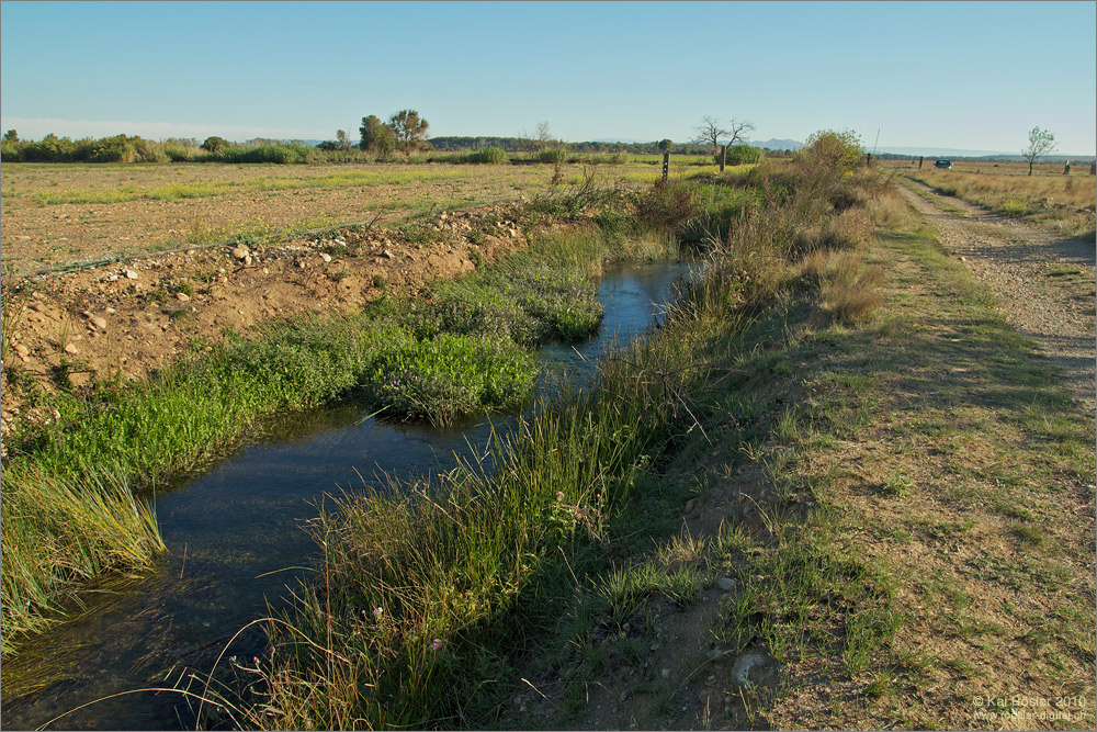 Canal de Vergières, Sept. 2010