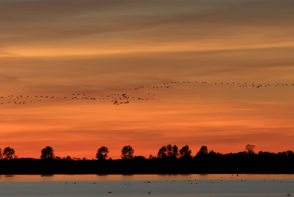 In den Bodden