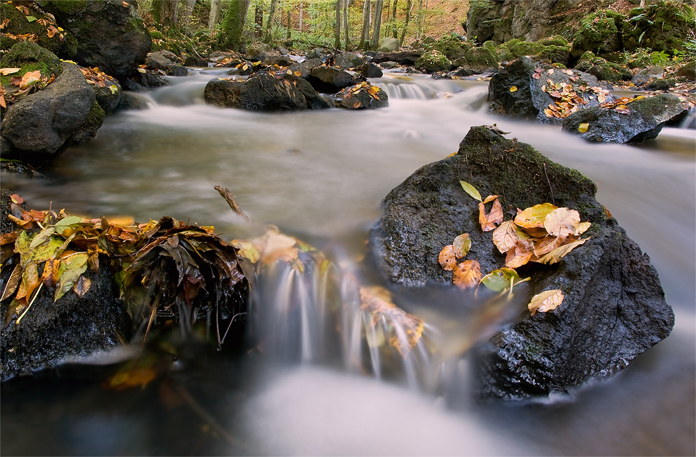 Herbststimmung!