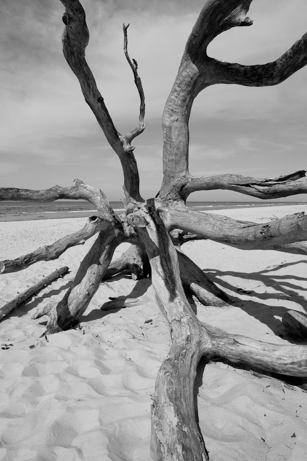 Strandgut