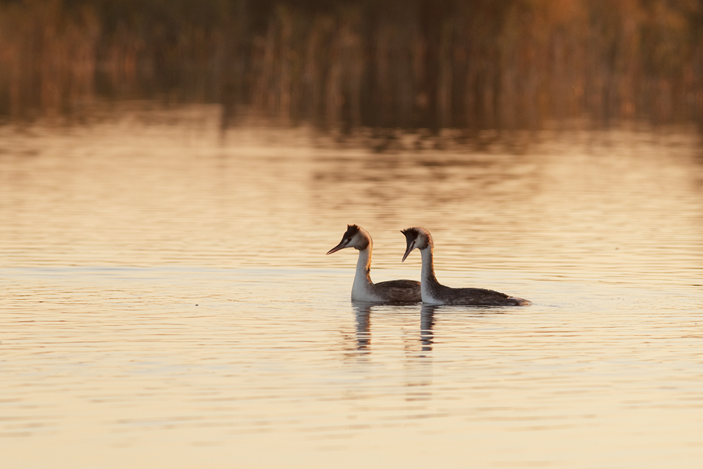 Idylle am See