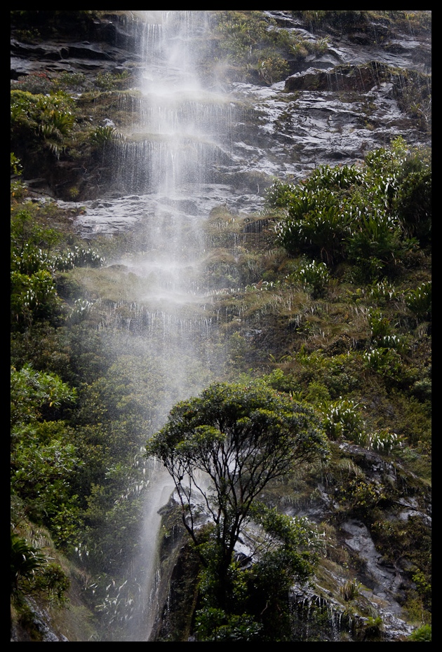 Milford Sound