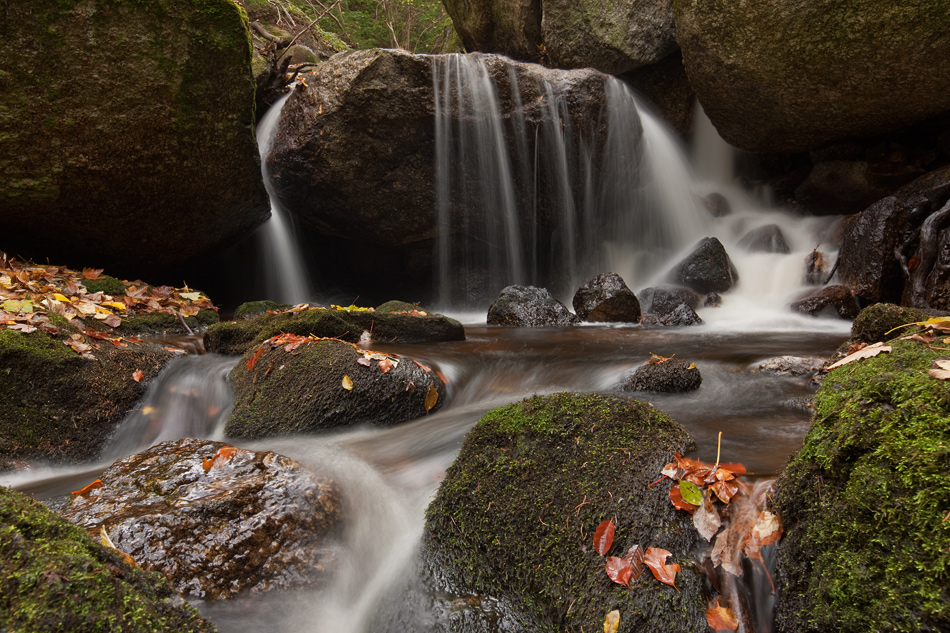 Herbst im Waldviertel