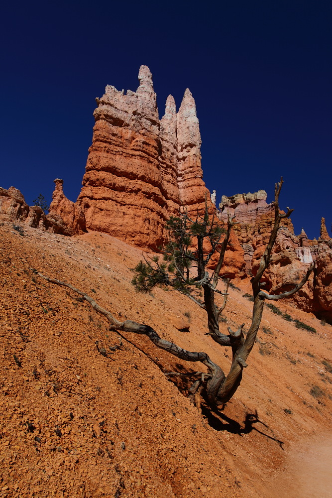 Hoodoos