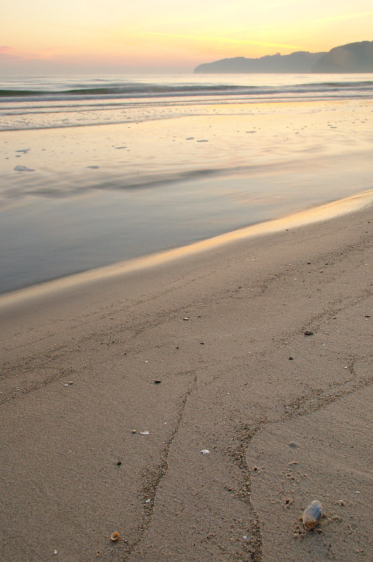 Morgens am Strand