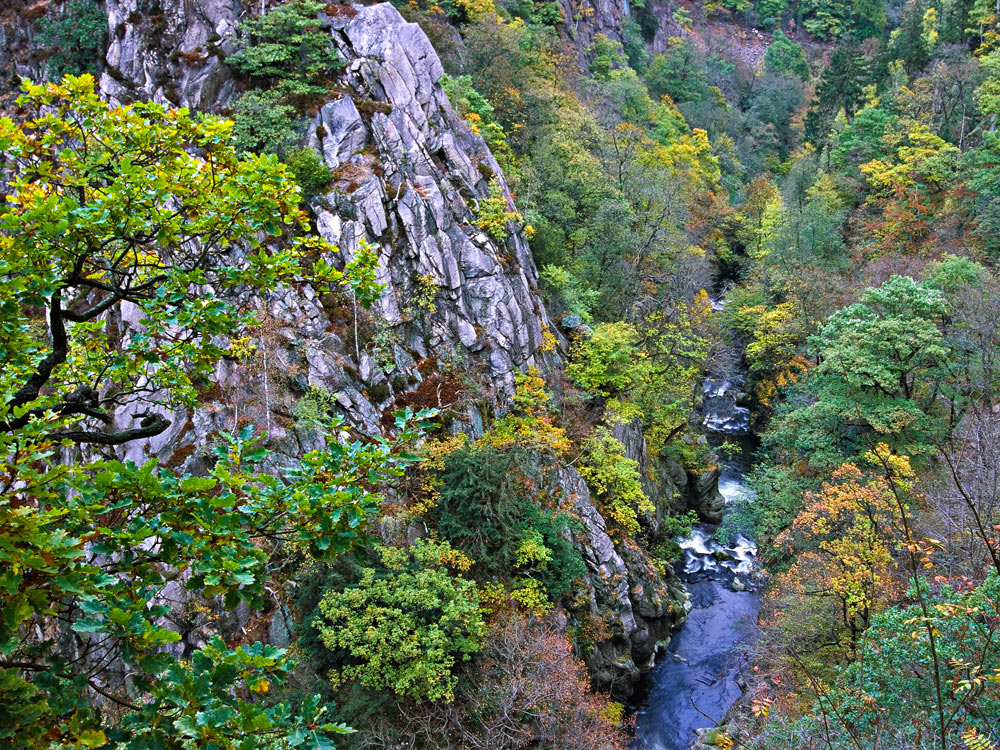 Herbstliches Bodetal