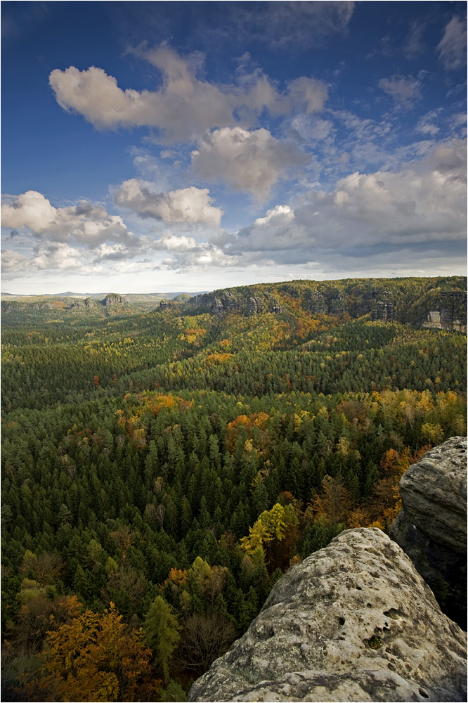 Herbst am Gleitmannshorn