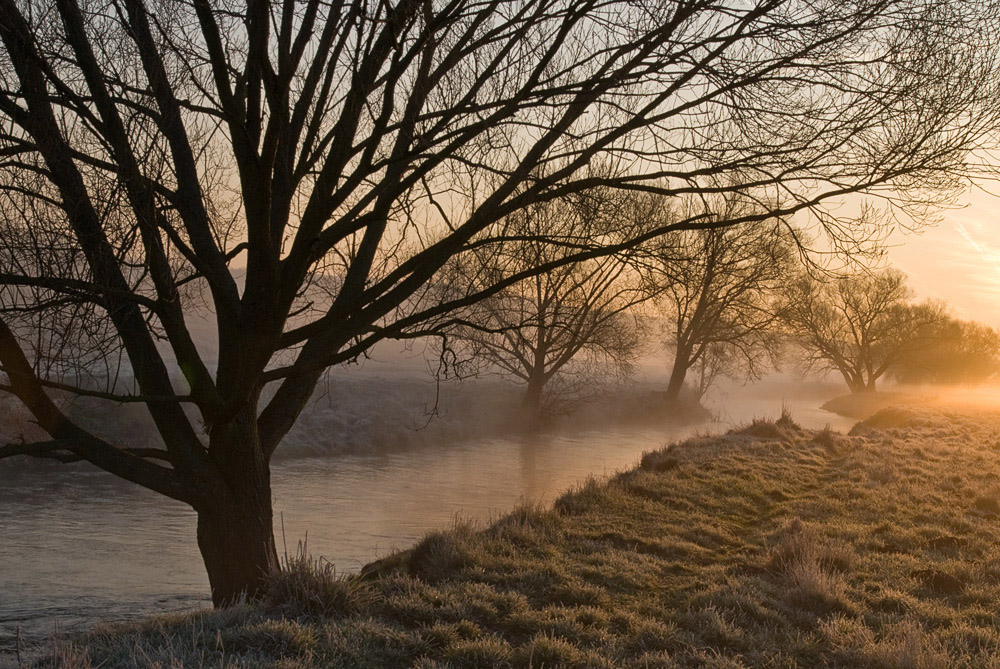 Fluss im Morgennebel