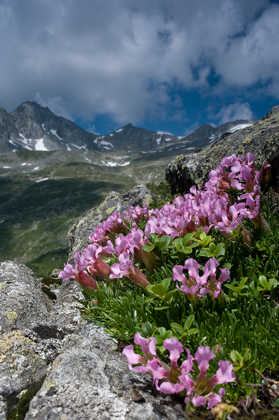 Aufstieg zur Gießener Hütte