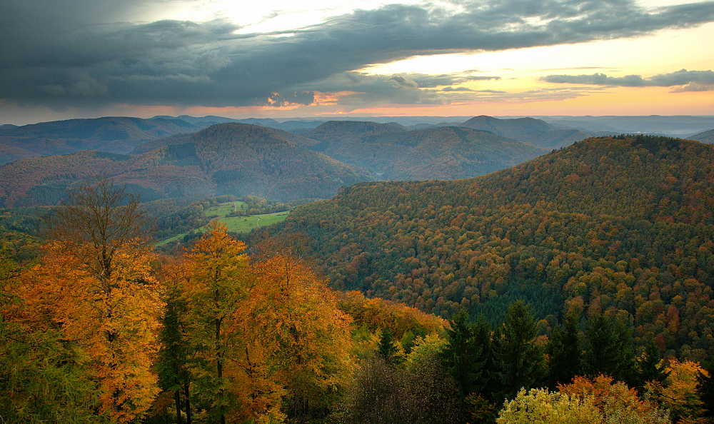 Abend über dem herbstlichen Wald