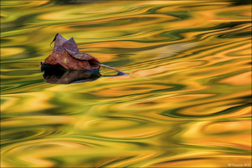 [ Colors of Nature II ]