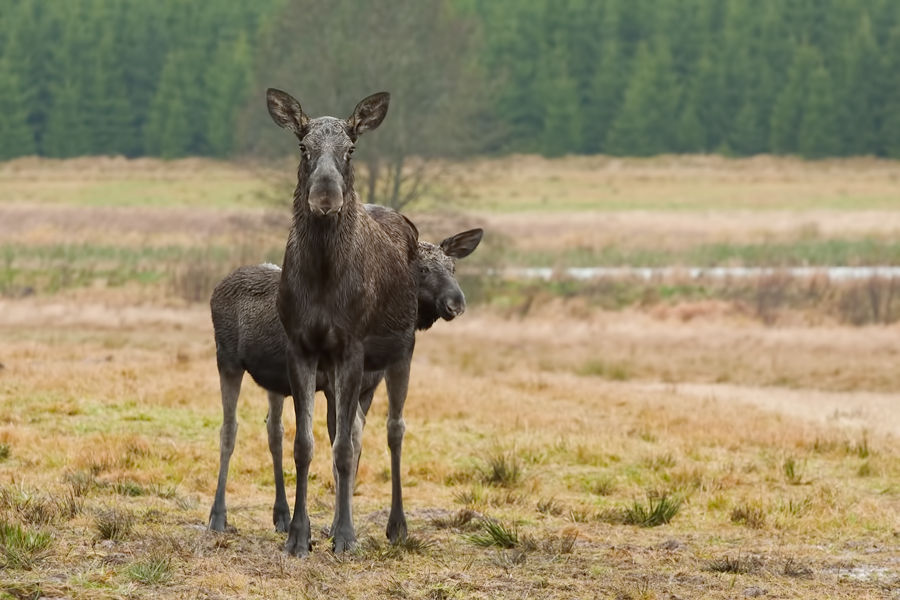 Mutter und Tochter