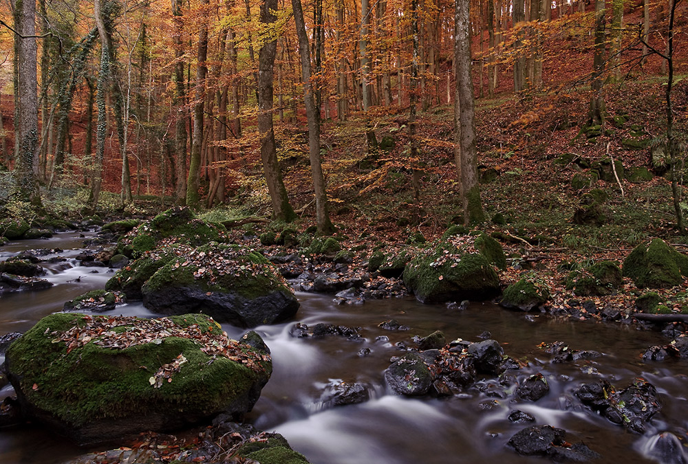 Herbst an der Alf