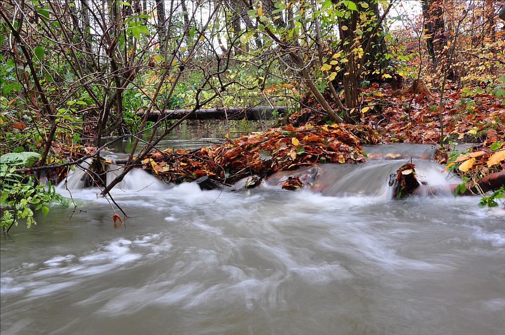 "Wasser"