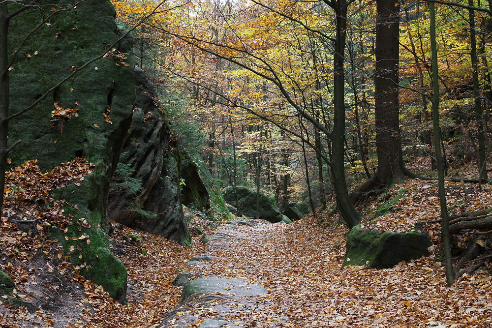 Schulzengrund