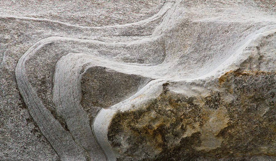 "Künstler" Natur