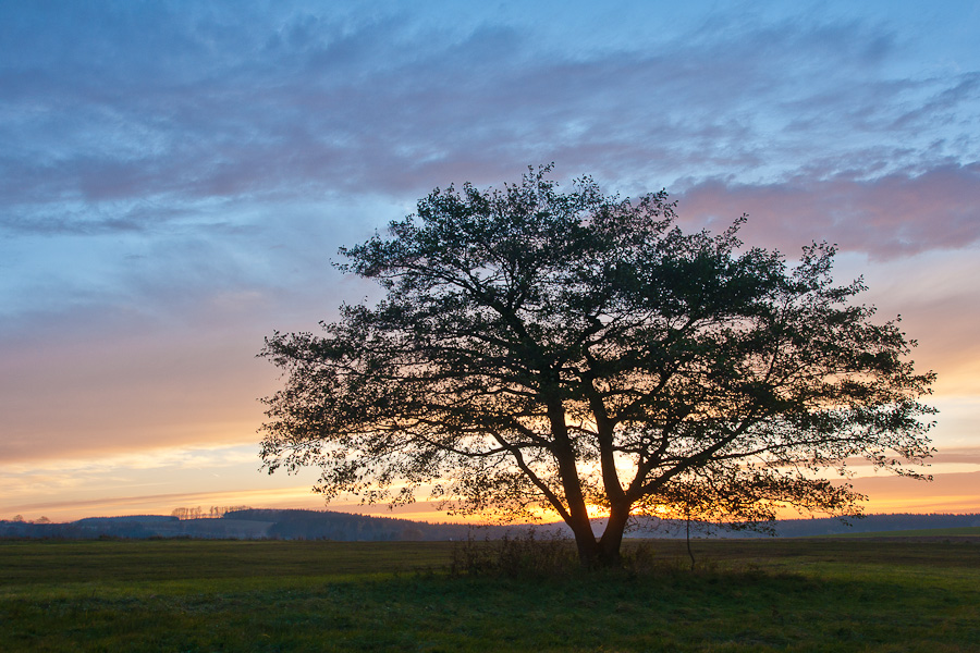 Duftiger Abend