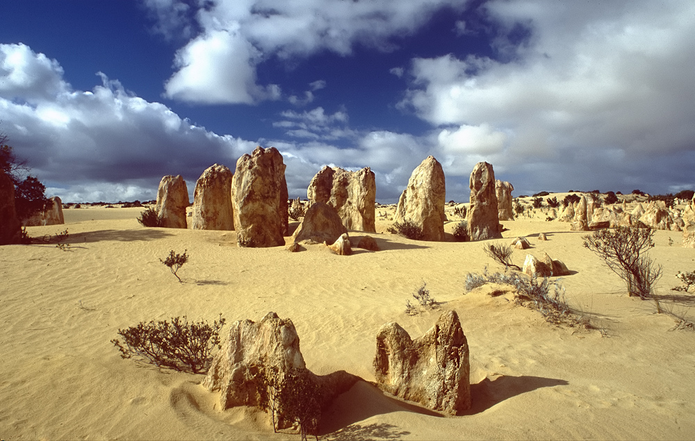 Pinnacles  (neu)