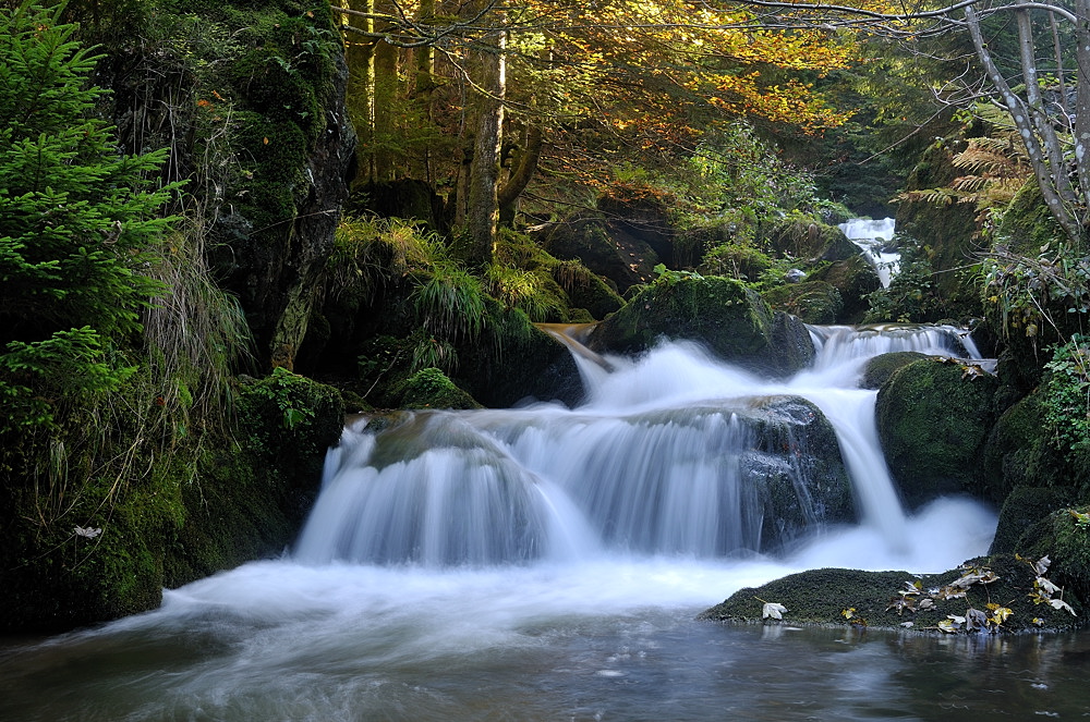 Buselbach im Herbst