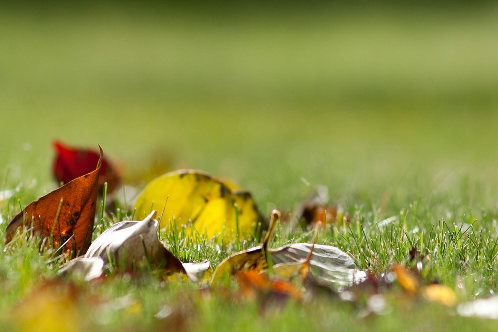 Herbststimmung