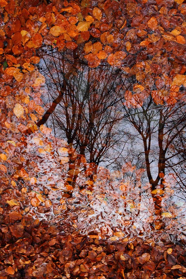 Nachruf an den Herbst