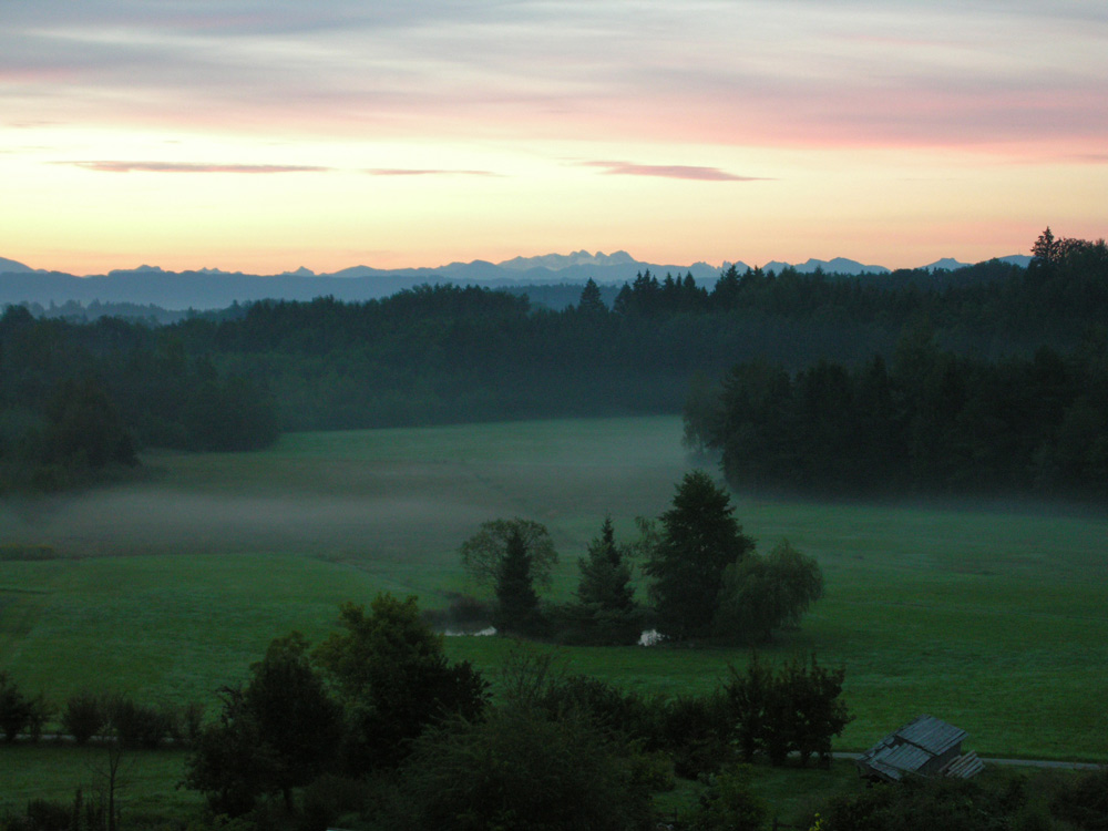 Frühnebel