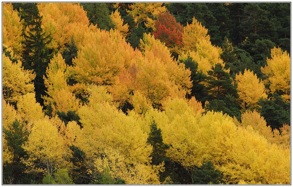 Herbst ...