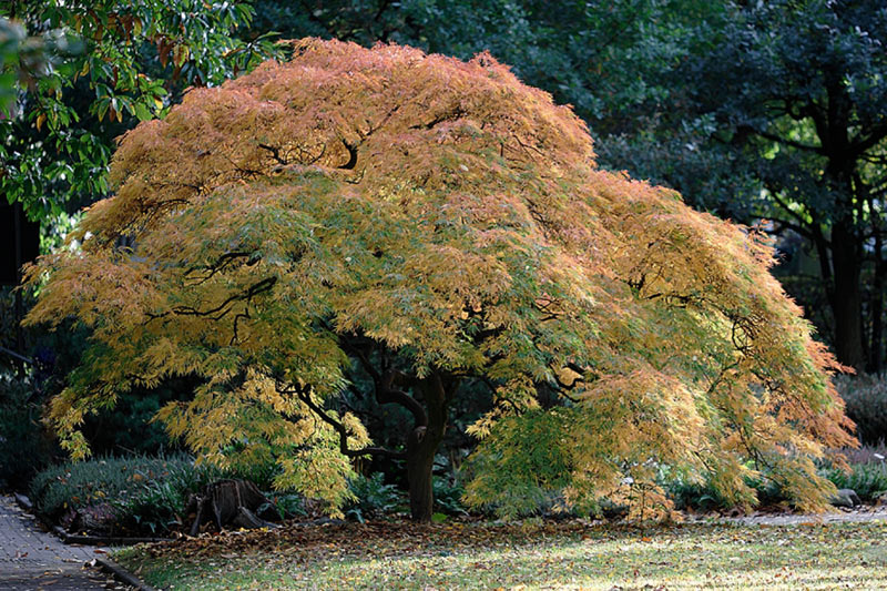 Herbstfarben