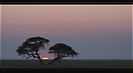 Sunrise in Etosha