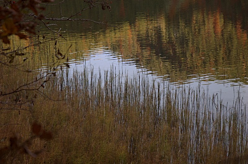 Neulich am Spitzingsee