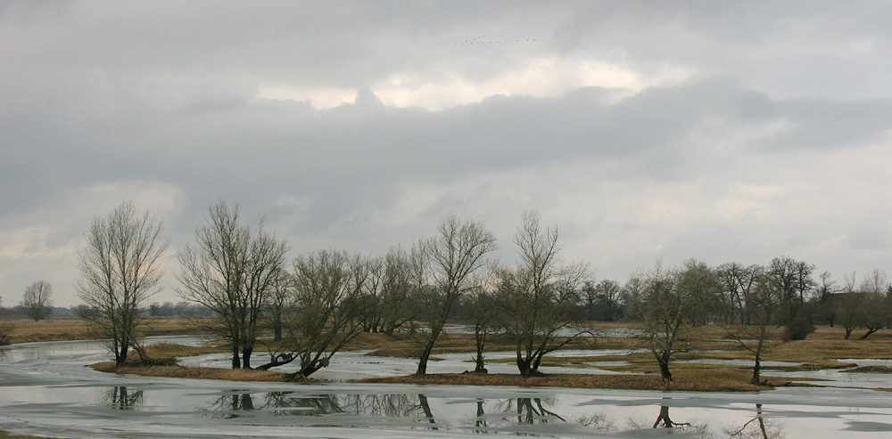 Eis-Hochwasser